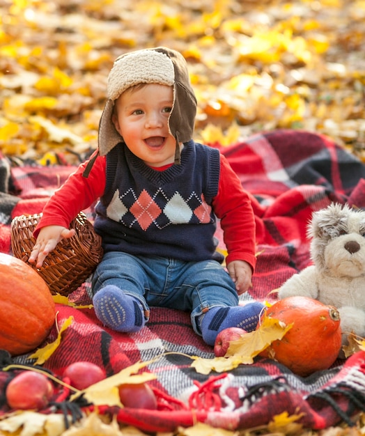 Free photo happy little boy on a picnic blanket