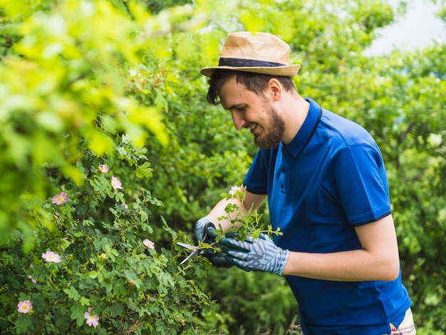 Happy male gardener pruning green plant