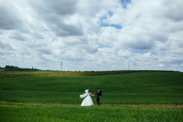 Free photo happy newlyweds in the meadow