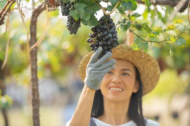 Free photo happy smiling cheerful vineyard female wearing overalls and a farm dress straw hat