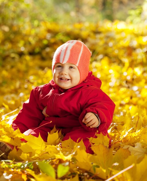 Happy toddler  in autumn park