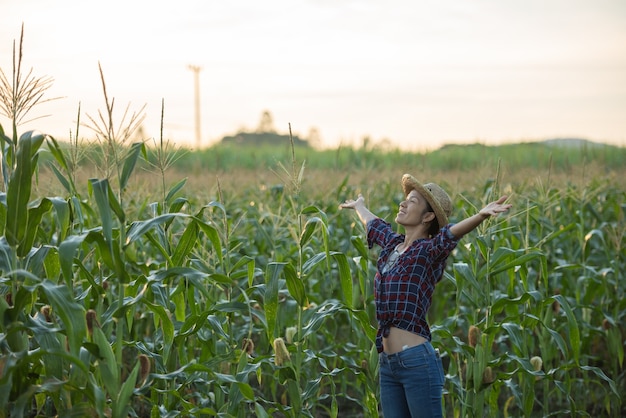 Free photo happy woman enjoying the life in the field, beautiful morning sunrise over the corn field. green corn field in agricultural garden and light shines sunset in the evening mountain background.