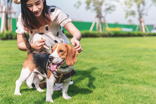 Happy woman playing with her beagle dog in park outdoorsLifestyle recreation activity