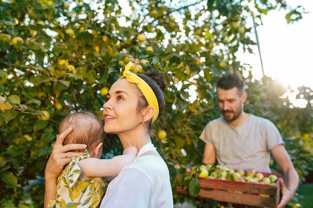 Free photo the happy young family during picking apples in a garden outdoors