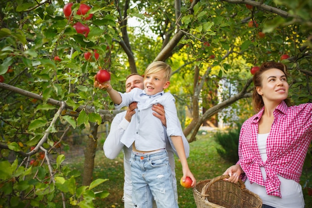 Free photo happy young family during picking berries in a garden outdoors. love, family, lifestyle, harvest, autumn concept. cheerful, healthy and lovely.