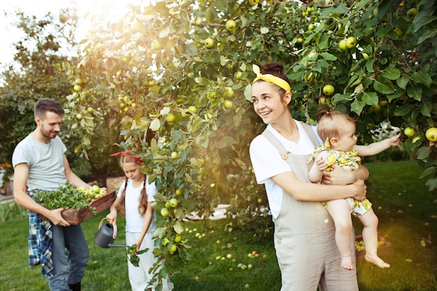 The happy young family during picking apples in a garden outdoors