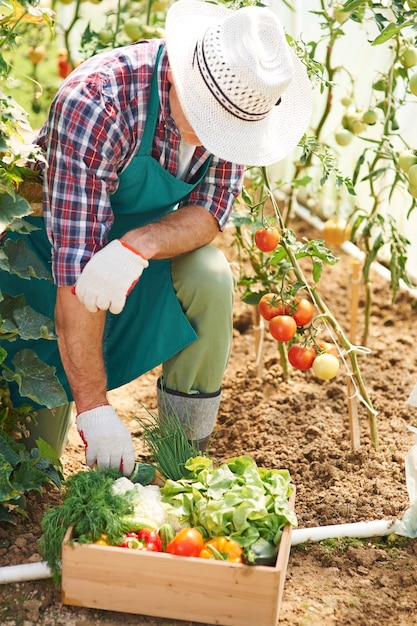 Free photo hard work in garden brings results