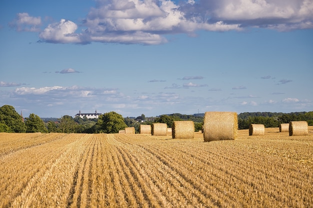 Free photo harvested grain field captured on a sunny day with some clouds in germany