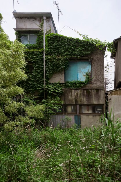 Haunted house background and green plants