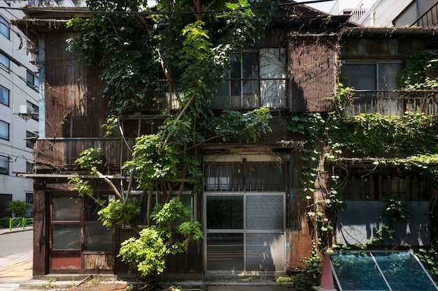 Free photo haunted house exterior background