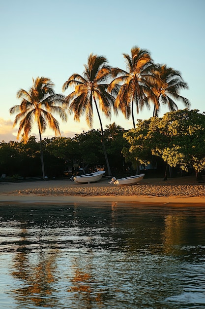 Free Photo hawaii beach landscape with nature and coastline