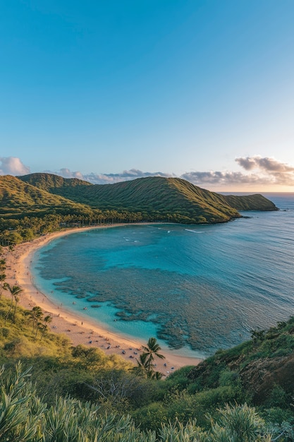 Free photo hawaii beach landscape with nature and coastline