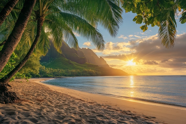 Hawaii beach landscape with nature and coastline