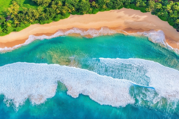 Free Photo hawaii beach landscape with nature and coastline