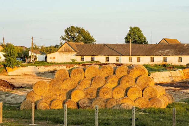 Hay bales at countryside