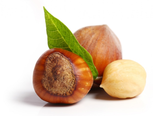 Free photo hazelnuts