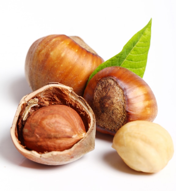 Free photo hazelnuts