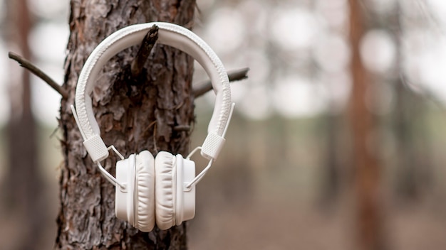 Headphones hanged in tree