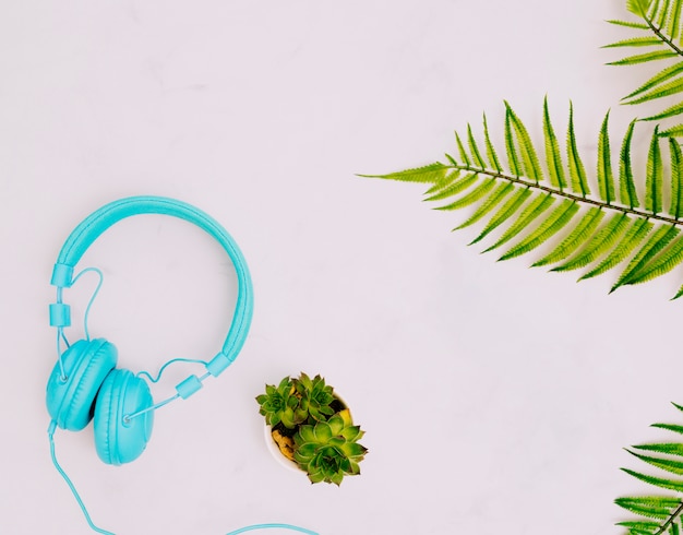 Headphones and plants on light surface