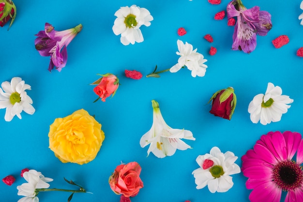 Heads of various flowers