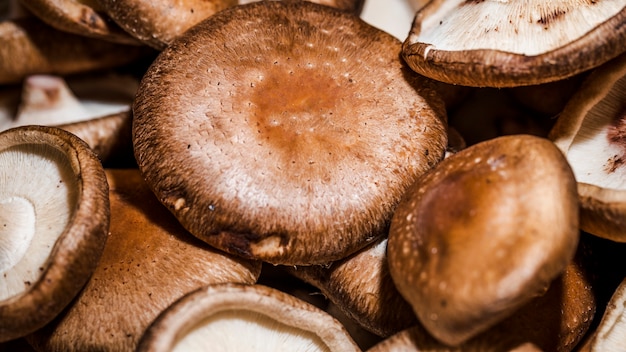 Free photo healthy and fresh mushrooms for sale