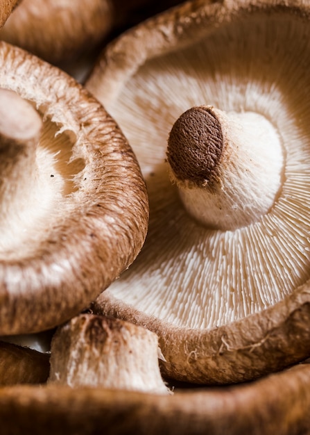 Free Photo healthy and fresh mushrooms in store