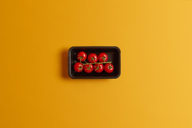 Healthy little small cherry tomatoes on one stem in black container isolated over yellow background. Delicious vegetables for making tomatoe juice or vegetarian summer salad. Perfect tasty crop