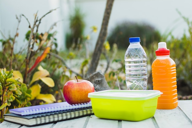 Healthy lunch with notebooks on table