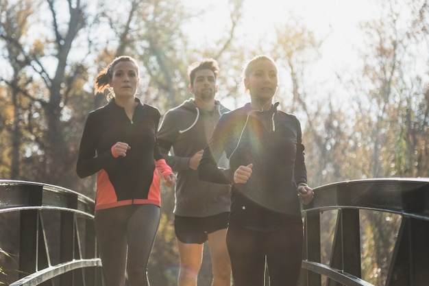 Free photo healthy people running on a sunny day