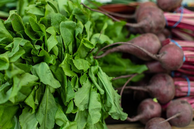 Healthy vegetables in close-up.