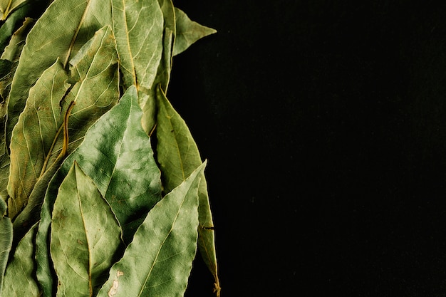 Free photo heap of bay leaves