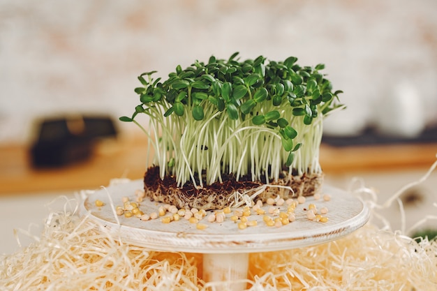 Free photo heap of beet micro greens on table