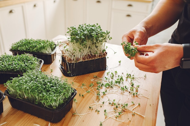 Free photo heap of beet micro greens on table