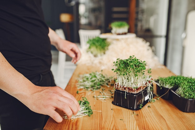 Heap of beet micro greens on table 