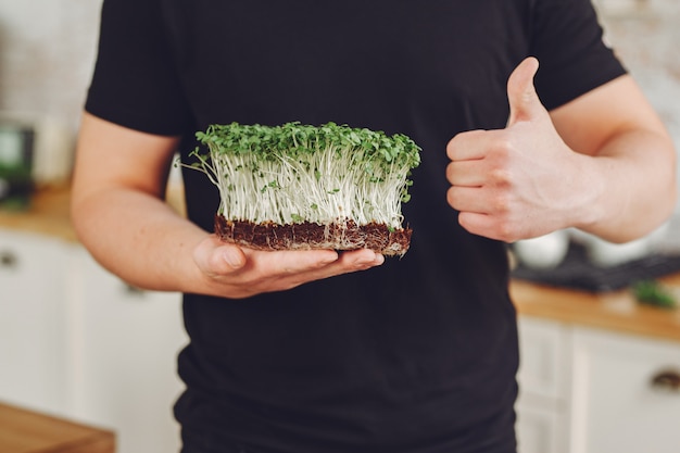 Heap of beet micro greens on table 