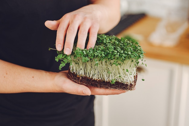 Free photo heap of beet micro greens on table