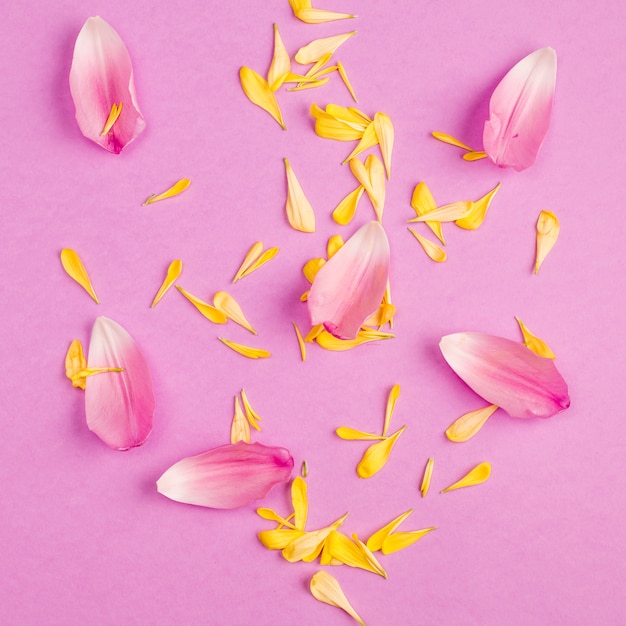 Free photo heap of different flower petals