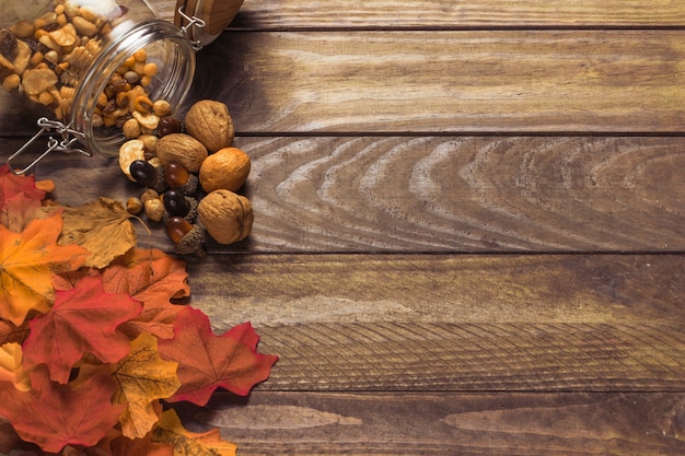 Free photo heap of leaves near nuts