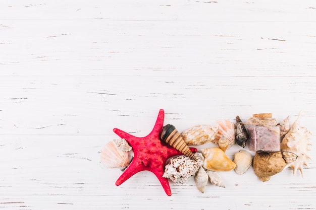 Free photo heap of seashells and starfish