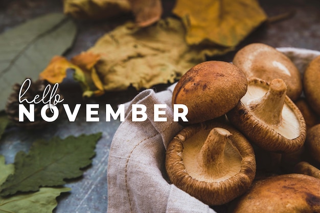 Free photo hello november composition with mushrooms and leaves