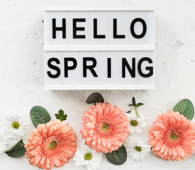 Free Photo hello spring sign with gerbera flowers and daisies