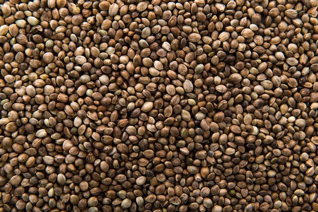 Hemp seeds