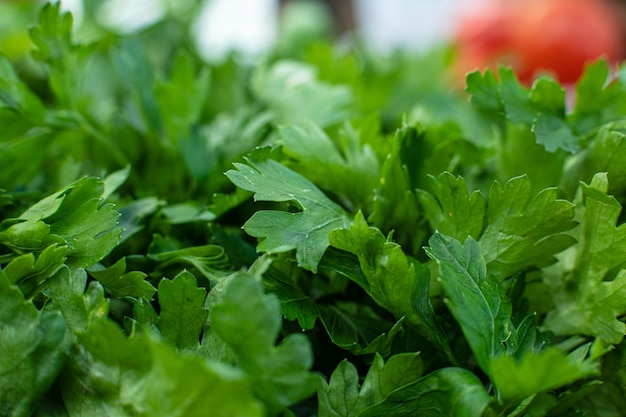 Free photo herbal parsley bunch in close-up.