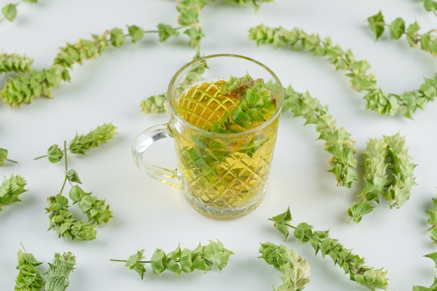 Free photo herbal tea in a glass cup with leaves high angle view on a white