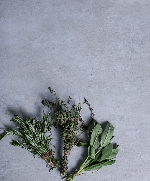 Free photo herbs on gray background