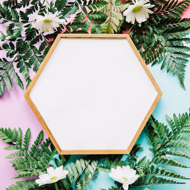 Hexagonal frame on exotic leaves