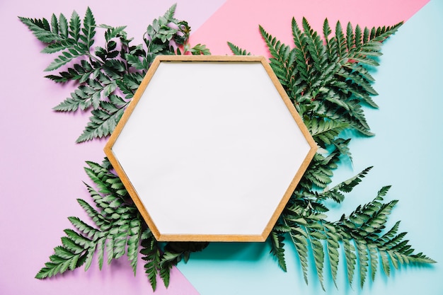 Hexagonal frame on leaves