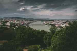 Free photo high angel shot of an urban scenery with a river in the middle and trees surrounding the view