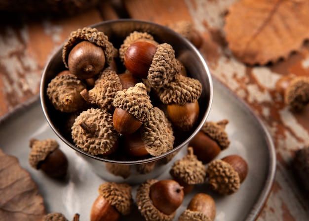 Free photo high angle acorns on table still life