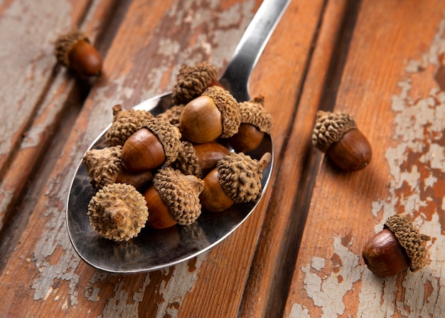 Free photo high angle acorns on table still life